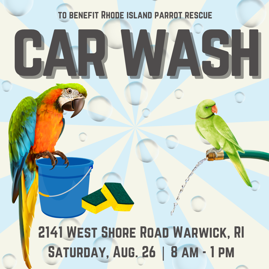 Summer Car Wash — Rhode Island Parrot Rescue